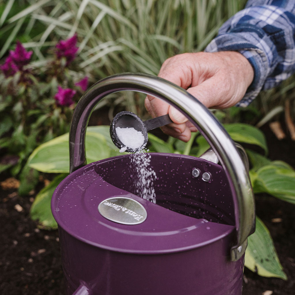 A person pouring a scoop of white granules into a purple watering can while using Gro-Sure All Purpose Soluble Plant Food 800g to supply essential nutrients in a garden setting.