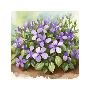 A watercolor illustration of a cluster of purple and lavender flowers with green leaves on a soft, natural background.