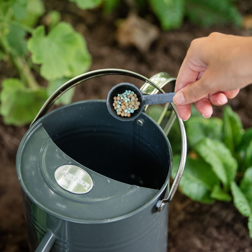 A hand holds a scoop of Gro-Sure All Purpose Plant Food 1.1kg above a watering can, surrounded by lush green plants.