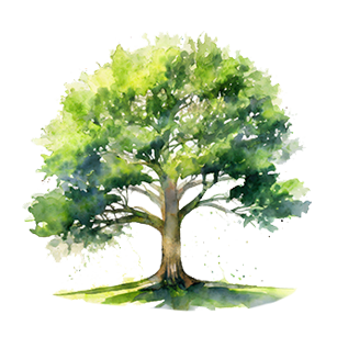 Watercolor illustration of a lush green tree with a thick trunk and abundant foliage.