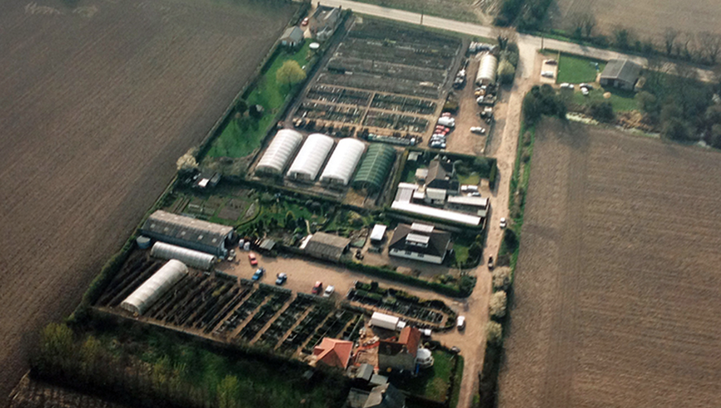 Aerial view of a plant nursery with multiple greenhouses, buildings, and cars surrounded by fields.