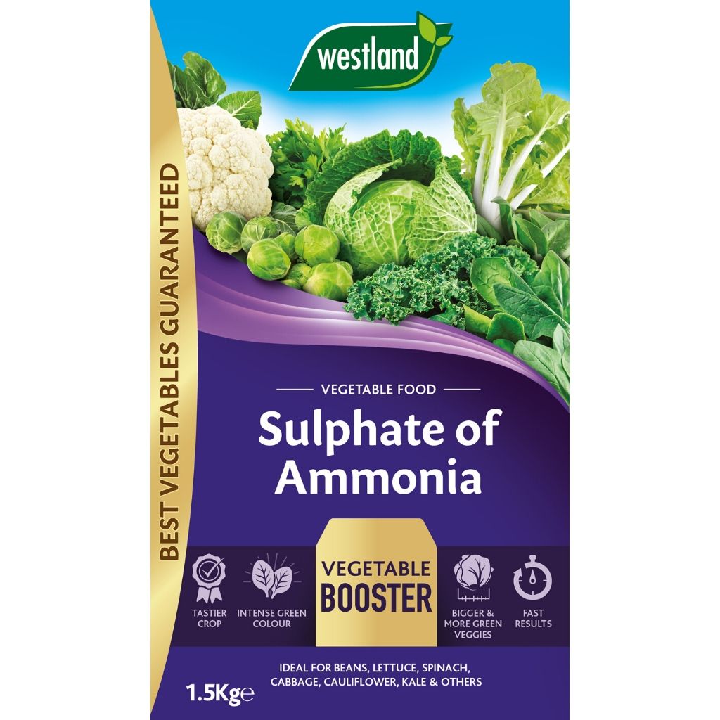 The packaging of Westland Sulphate of Ammonia 1.5kg highlights its effectiveness as a potent vegetable booster with nitrogen and sulphur, ensuring faster growth and vibrant green colour. Ideal for different types of vegetables, it promotes lush foliage development.