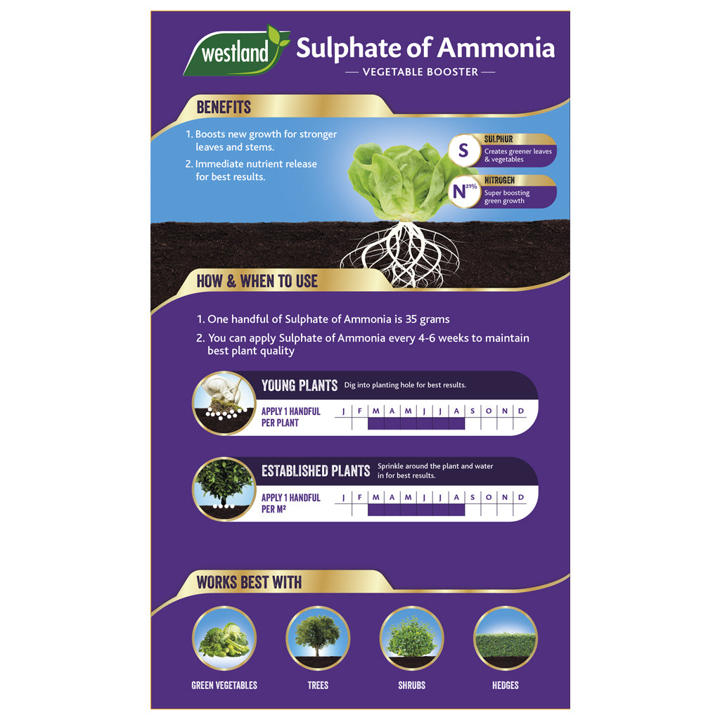 A purple poster for the Westland Sulphate of Ammonia 1.5kg emphasises the advantages of nitrogen and sulphur in promoting lush foliage. It provides usage instructions and mentions that it is particularly effective with plant types like green vegetables and hedges.