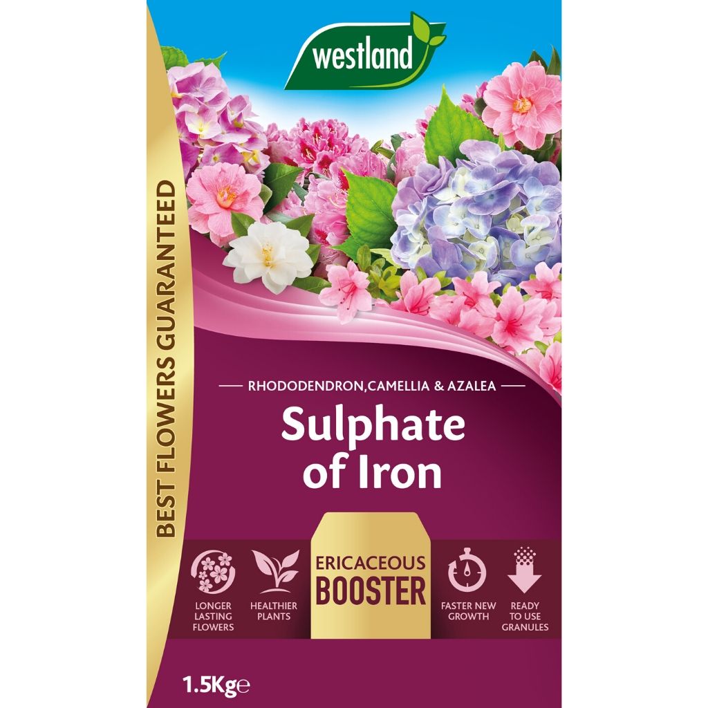 The Westland Sulphate of Iron 1.5Kg is perfect for ericaceous plants, with images highlighting vibrant flowers. It enhances acidic soil conditions to deliver longer-lasting blooms, healthier plants, and faster new growth.