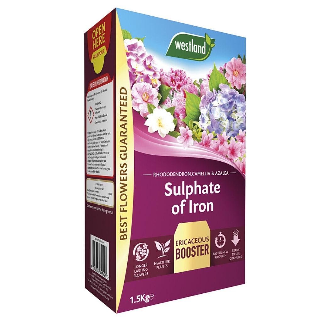 The Westland Sulphate of Iron 1.5Kg is an ericaceous booster, perfect for enhancing the growth of colourful flowers and promoting healthier, longer-lasting plants in acidic soil.