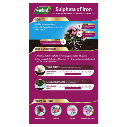 Discover the advantages and applications of Westland Sulphate of Iron 1.5Kg with this infographic, featuring its benefits for both young and mature plants. Ideal for ericaceous varieties, such as rhododendrons and hydrangeas, that flourish in acidic soil conditions.