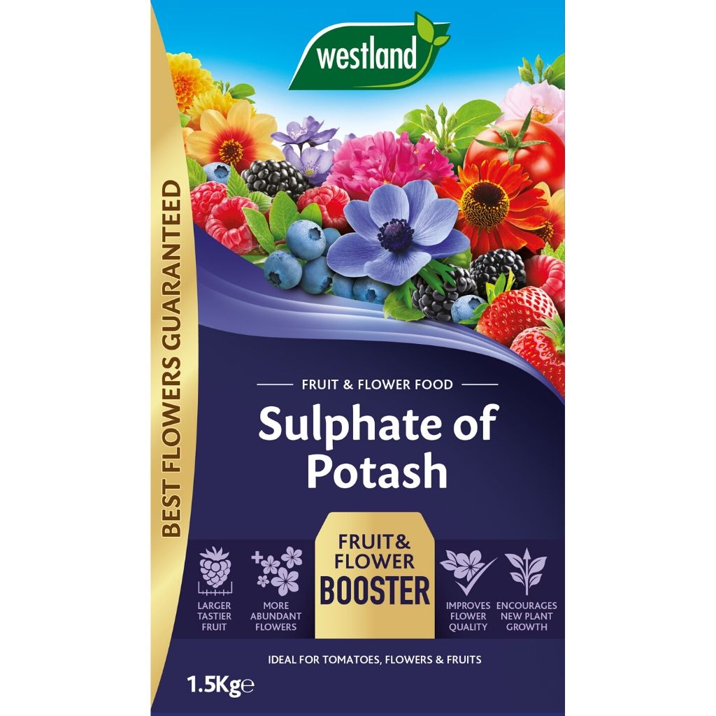 The packaging of Westland Sulphate of Potash 1.5Kg features a colourful display of fruits and flowers. It is advertised as a booster for fruit and flowering plants due to its high potassium content, promoting enhanced growth and quality, available in a convenient 1.5 kg bag for your gardening needs.