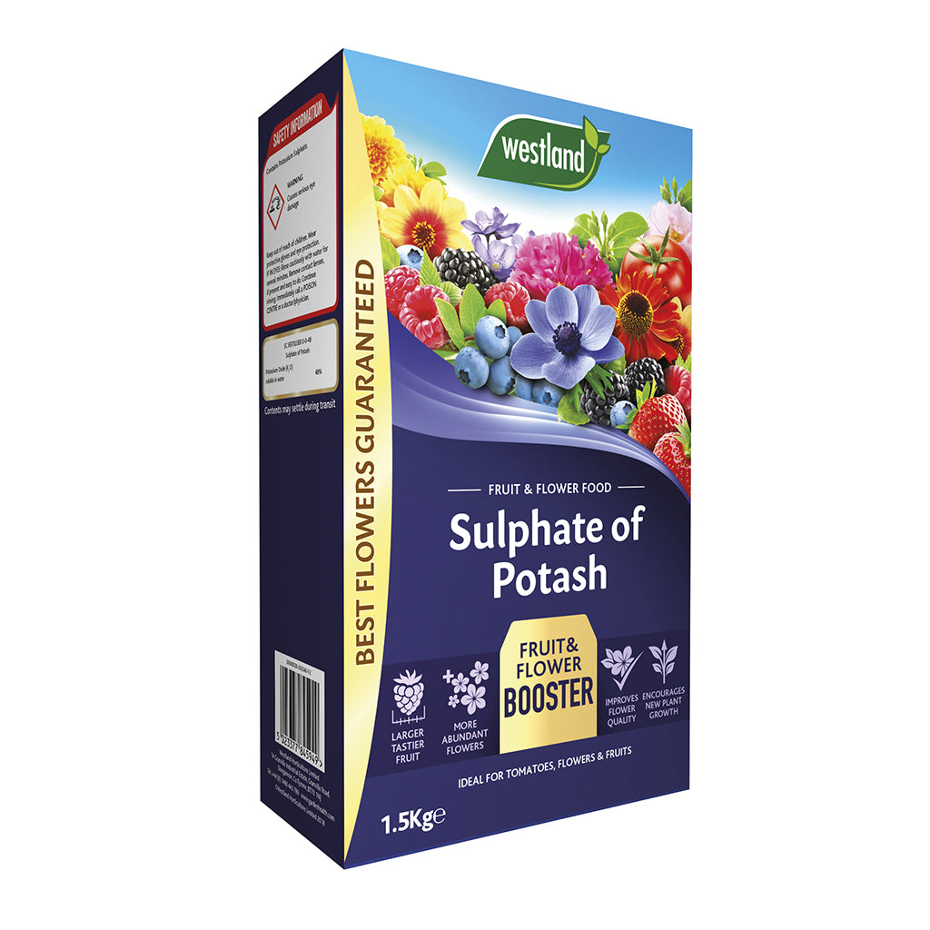 A vibrant package of Westland Sulphate of Potash 1.5Kg, emphasising its high potassium content with images of luscious flowers and fruits, promotes benefits like enhanced yield for fruiting and flowering plants.