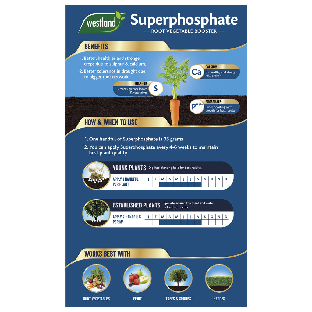 Infographic for Westland Superphosphate 1.5Kg, a high phosphorus granular feed and root vegetable booster, outlining benefits, usage instructions for young and established plants, and suitable plant types.