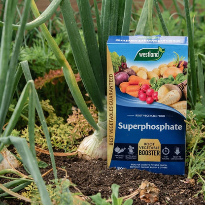 A box of Westland Superphosphate 1.5Kg is nestled among flourishing vegetables and plants in the garden, serving as a high phosphorus booster for root vegetables.