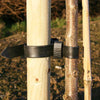 The Tree Stake and Rubber Tie - 4ft consists of two wooden stakes secured together with a black adjustable strap, positioned outdoors on a sunny day.